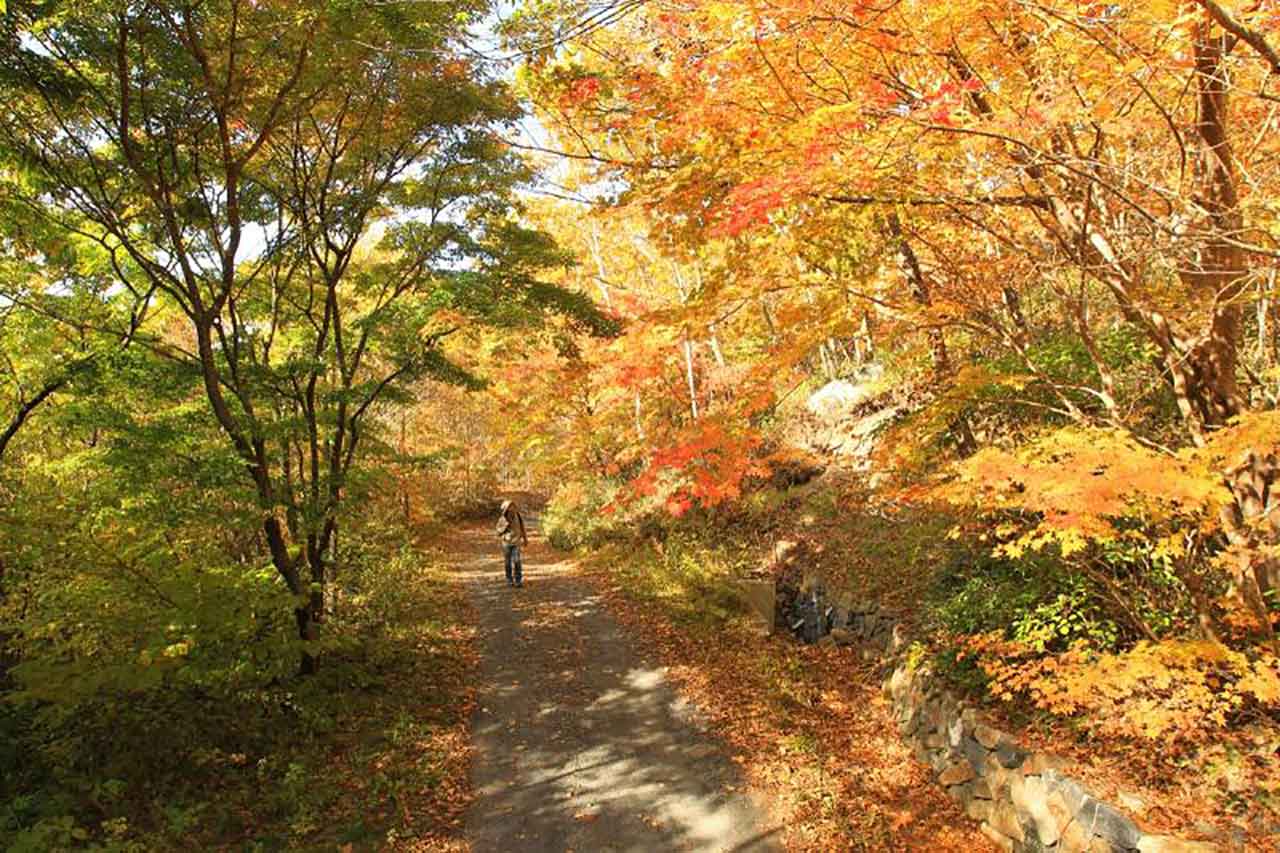 강원랜드 ‘운탄고도 소원의 길 트레킹’ / 사진=강원랜드 제공