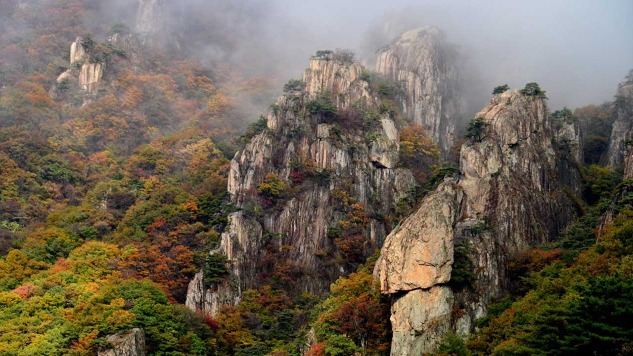 안개와 단풍이 어우러진 대둔산의 기암괴석 능선. / 대둔산케이블카