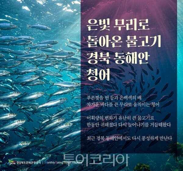 경북문화관광공사 제공