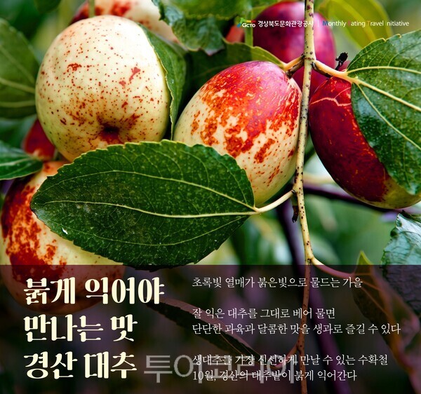 경북문화관광공사 제공