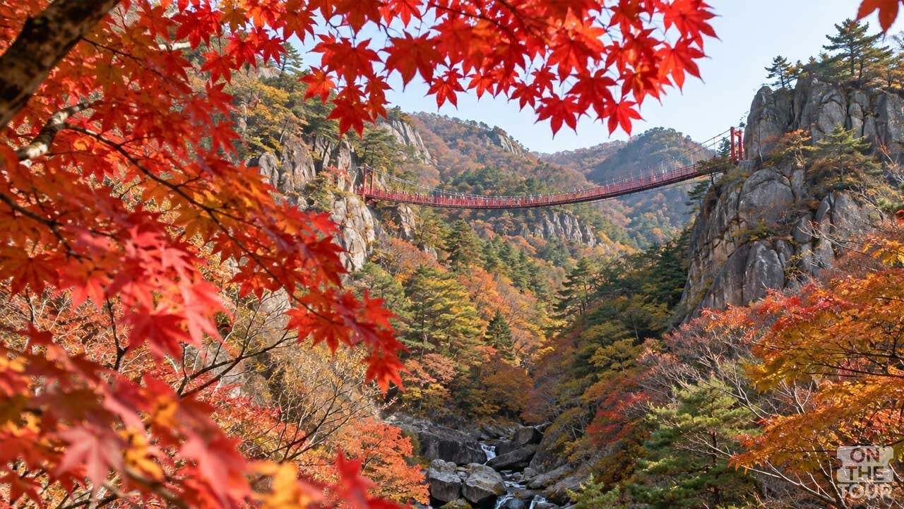 붉게 물든 단풍 사이로 보이는 강천산 현수교. (AI 생성) / 온더투어