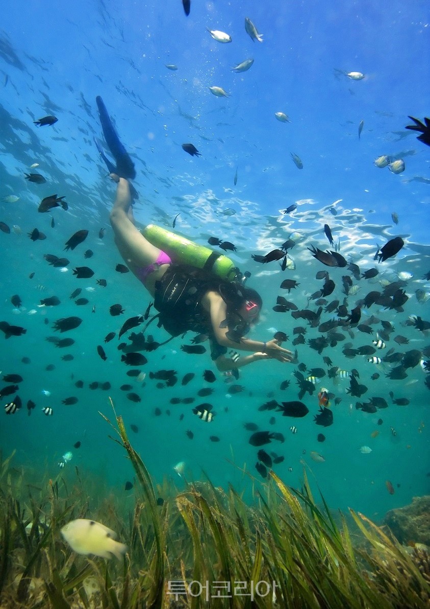 필리핀 다바오만 사말섬 다이빙 포인트(Diving, Davao Gulf and Samal by Rhonson Ng)/사진-필리핀관광부