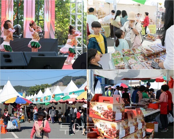 ▲제25회 연산대추문화축제 행사 모습. /사진-논산시(편집 류석만 기자)