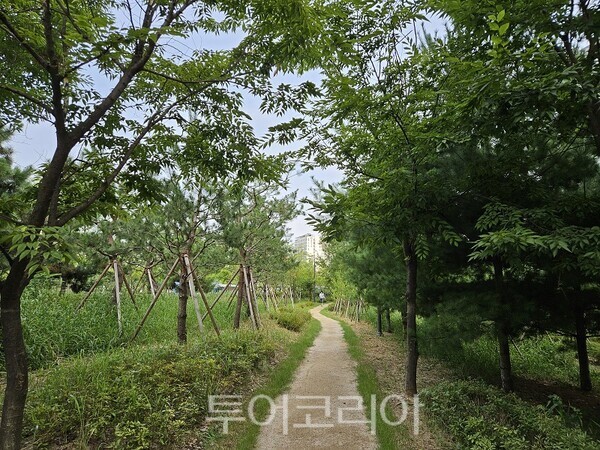 기후대응 도시숲 조성사업(미추홀구) 모습