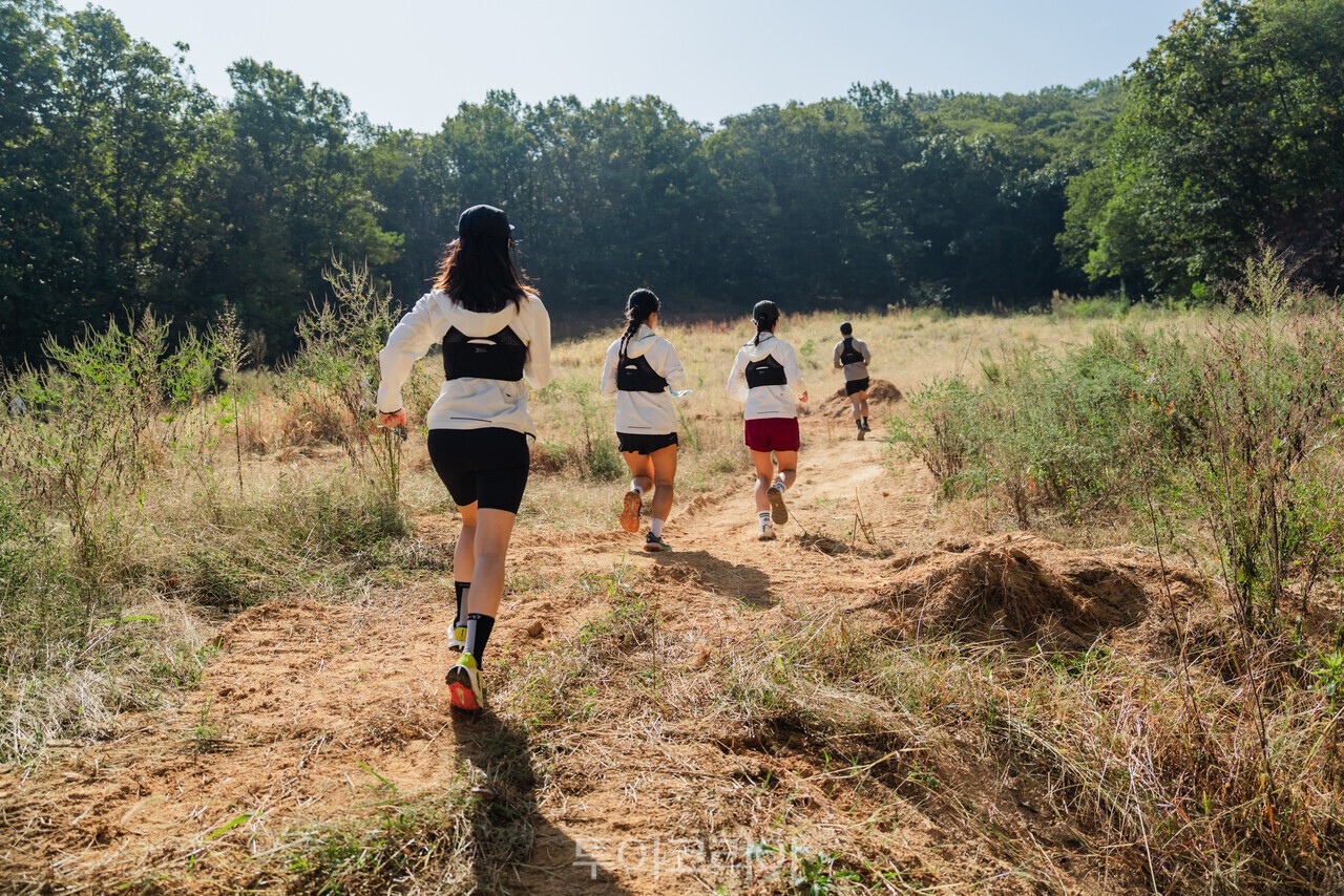  ADVENTUROUS TRAIL IN DMZ FOREST  /사진-경기관광공사