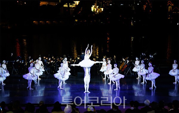 사진 / ‘백조의 호수’의 한 장면