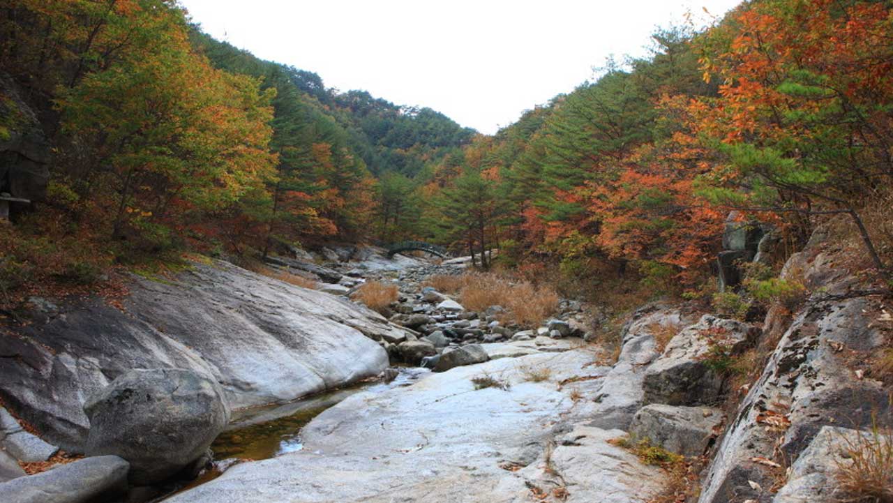 가을 단풍으로 물든 구수곡자연휴양림의 계곡 풍경. / 숲나들e