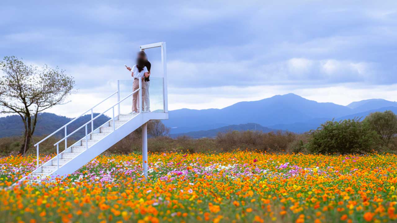 . / 함안군 공식 SNS