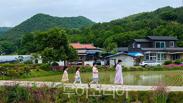 사진 / ‘우리, 청양에서 살 수 있을까?’ 참가 아동들의 마을 탐방모습