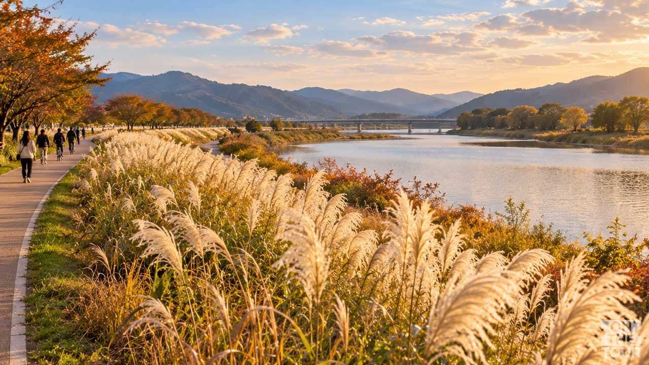 하천을 따라 이어진 산책로 옆으로 은빛 팜파스그라스가 펼쳐진 가을 강변 풍경. (AI 생성) / 온더투어