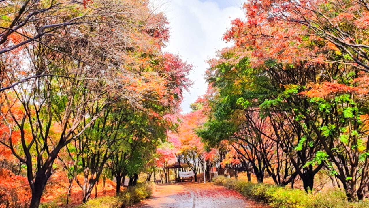 1시간이면 완주할 수 있는 3.2km 숲길. / 독립기념관