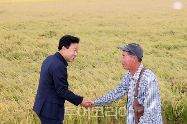 벼 수확기 맞아 농업인 격려 및 애로사항 청취/사진-옹진군