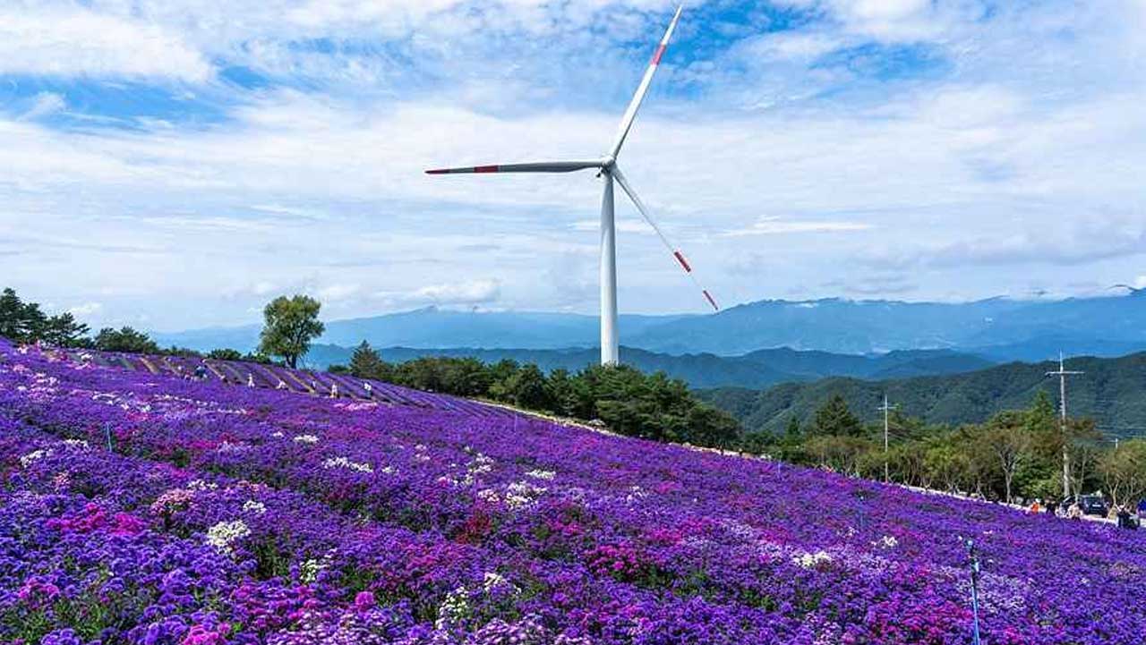 부담 없이 찾기 좋은 가을 나들이 코스인 거창 별바람언덕. / 대한민국 구석구석