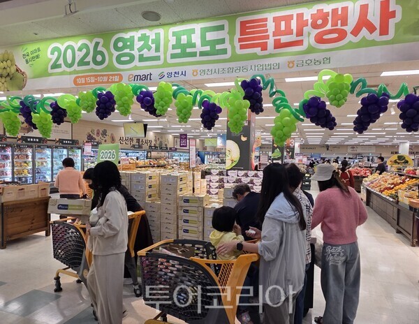 지난 15일 이마트 월배점에서 ‘2026 영천 포도 특판행사’가 진행되고 있는 모습./사진-영천시
