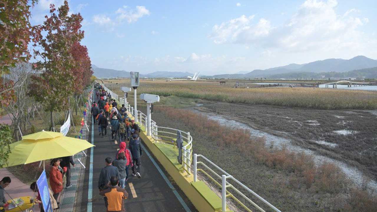전남 강진 강진만생태공원 탐방로를 따라 방문객들이 걷고 있다. / 대한민국 구석구석