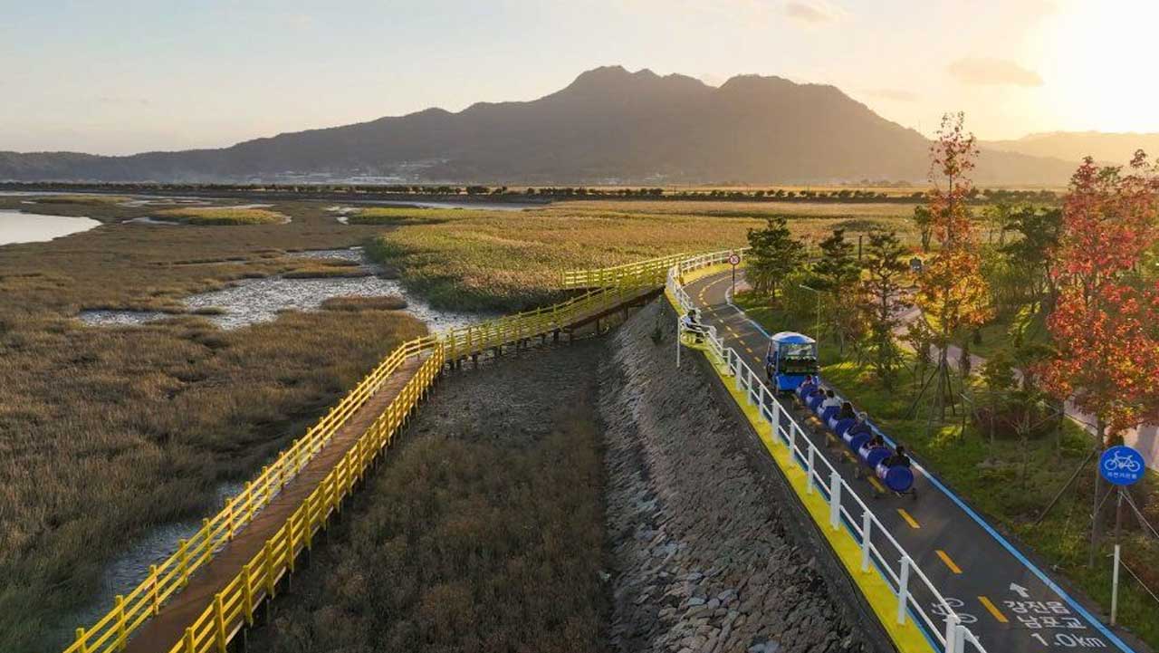전남 강진 강진만생태공원의 노을 진 갈대 습지. / 대한민국 구석구석