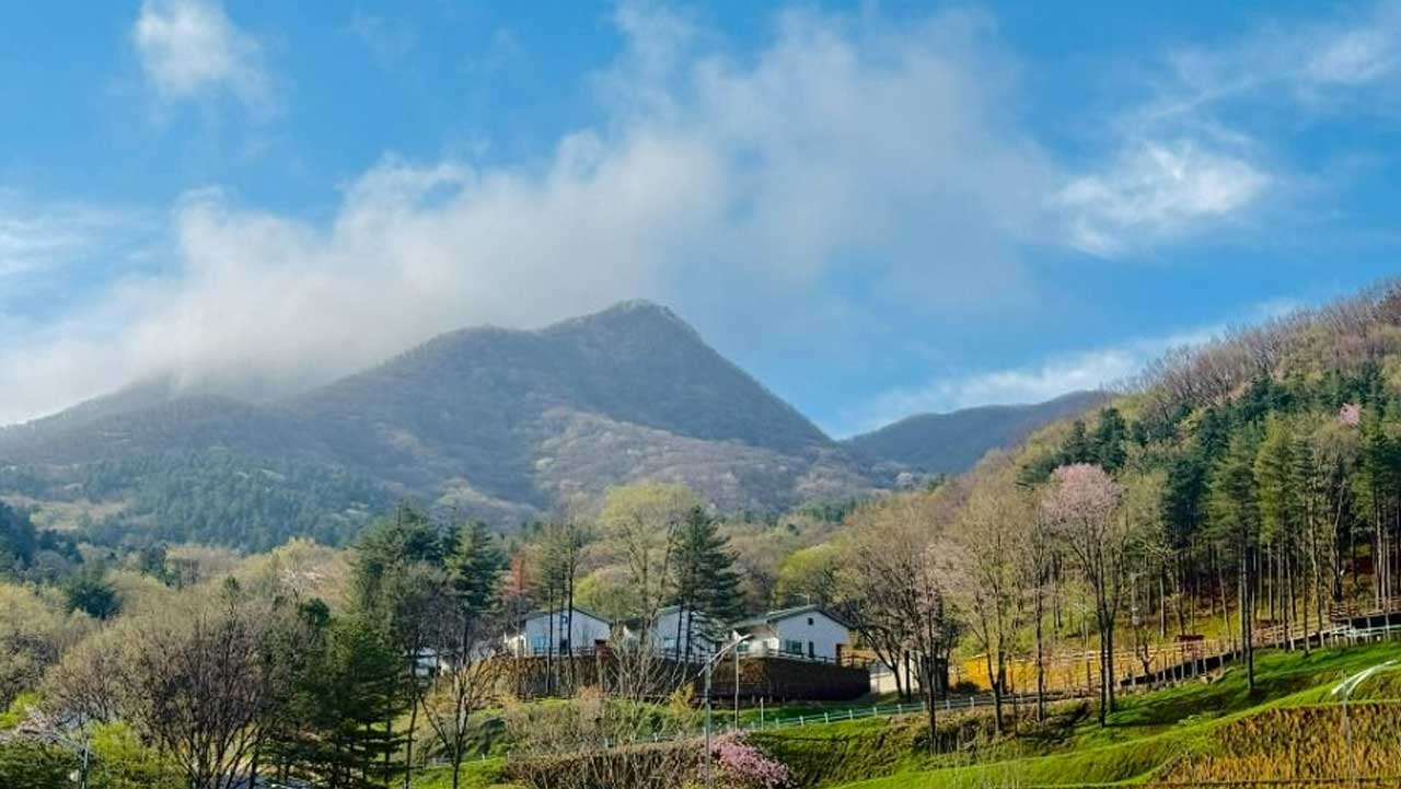 구름이 걸린 산자락 아래로 치유원 건물이 자리 잡았다. / 대한민국 구석구석