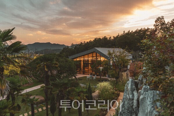 비원/ 비원제공