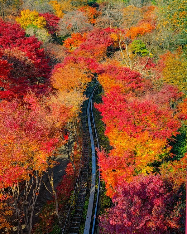 경기도 관광사진 공모전 최우수상 광주 '진홍색의 행로'/ 경기관광공사 제공