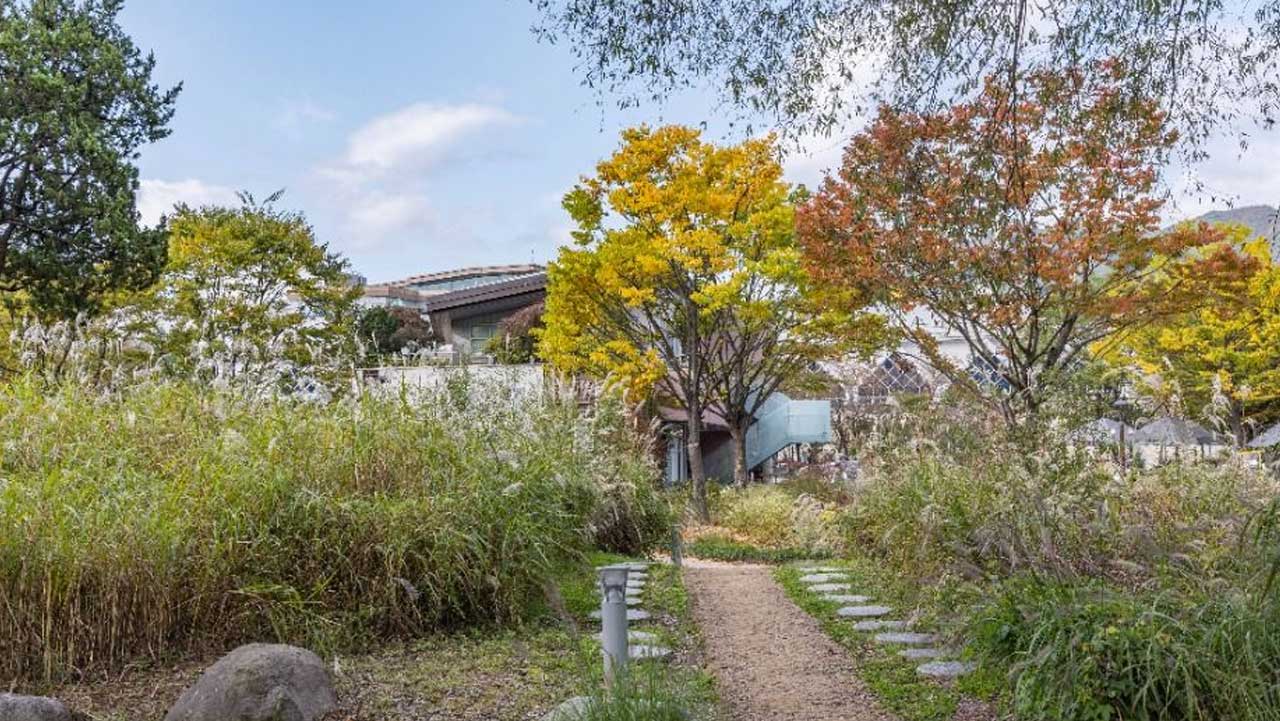 억새 사이로 징검돌과 흙길이 이어지고, 단풍 든 나무 너머로 건물이 보인다. / 대한민국 구석구석