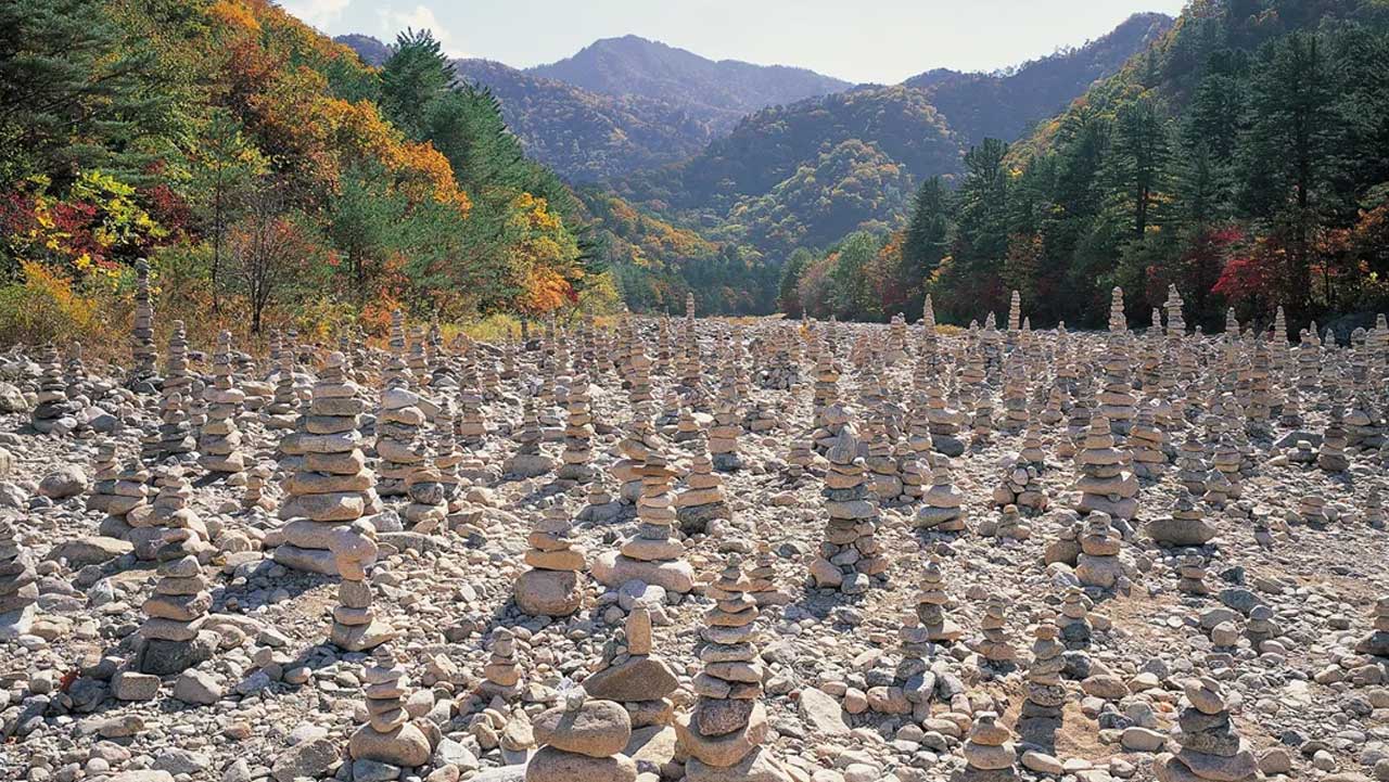 설악산 백담계곡 개울가에 방문객들이 쌓아 올린 돌탑이 빼곡히 들어서 있다. / 템플스테이