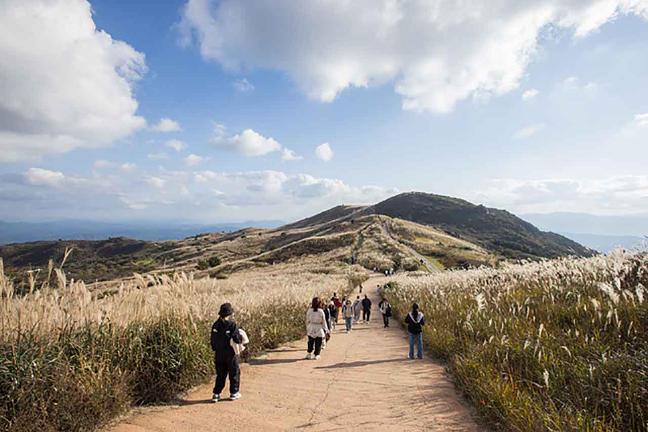 황매산군립공원. / 사진=합천군 제공