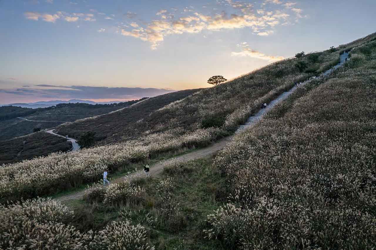 황매산군립공원. / 사진=합천군 제공