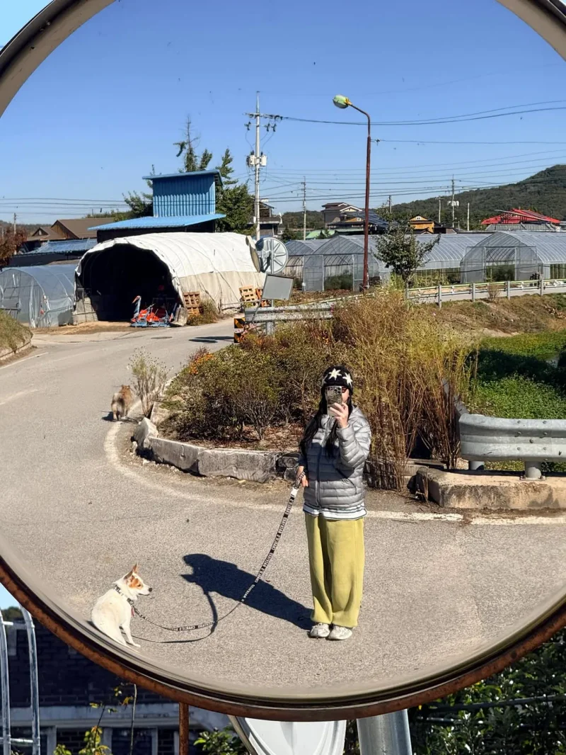 볼록 거울에 비친 솔라 / 사진=인스타그램 @solarkeem
