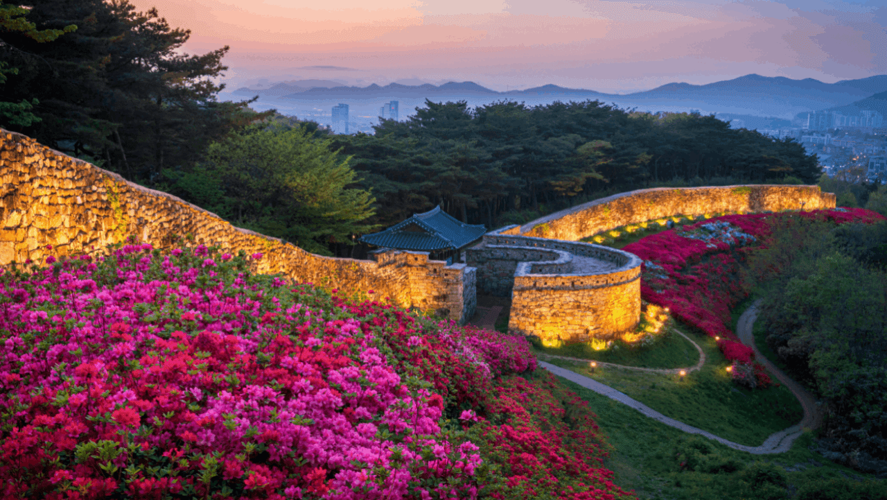 붉은 꽃이 핀 언덕 위로 조명이 켜진 고창읍성 성곽이 이어진다. / ⓒ한국관광콘텐츠랩-신원철