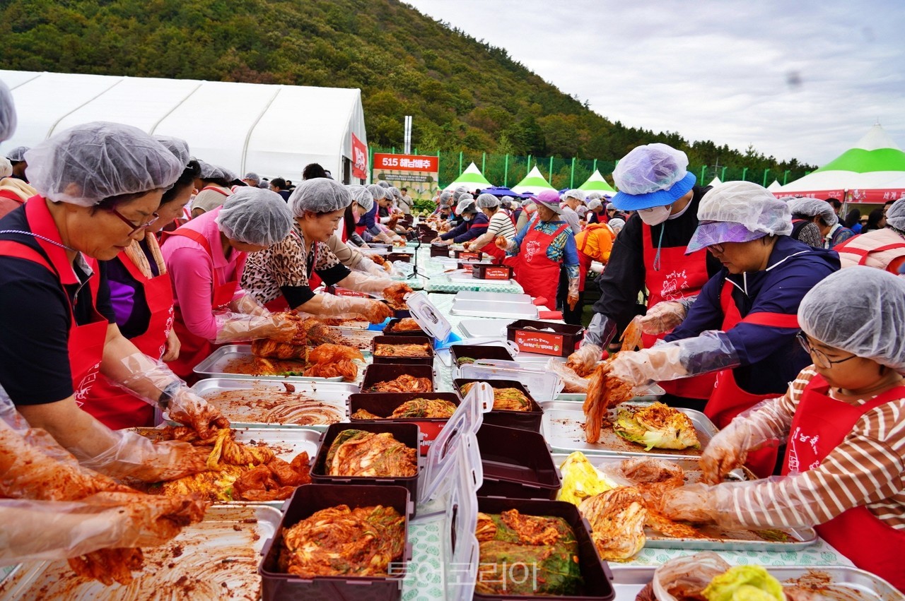  해남미남축제 김치비빔/사진-해남군