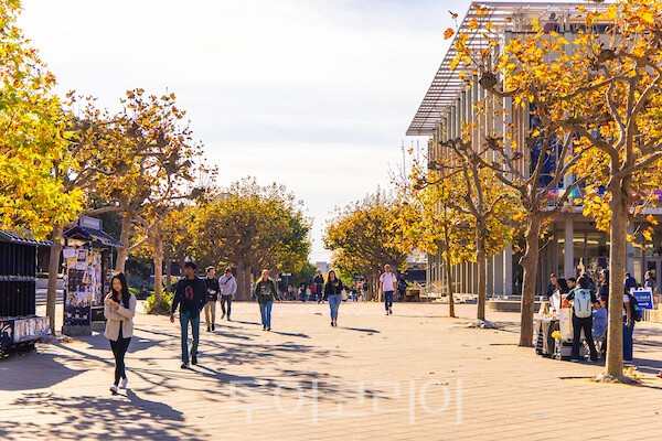 출처_UCLA 2" "출처_UCLA" "출처_UC버클리 2" "출처_UC버클리 3" "출처_UC버클리 4" "출처_UC버클리 5" "출처_UC버클리" /사진제공-처 캘리포니아 관광청