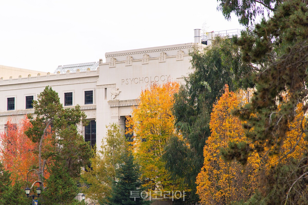 출처_UCLA 2" "출처_UCLA" "출처_UC버클리 2" "출처_UC버클리 3" "출처_UC버클리 4" "출처_UC버클리 5" "출처_UC버클리" /사진제공-처 캘리포니아 관광청