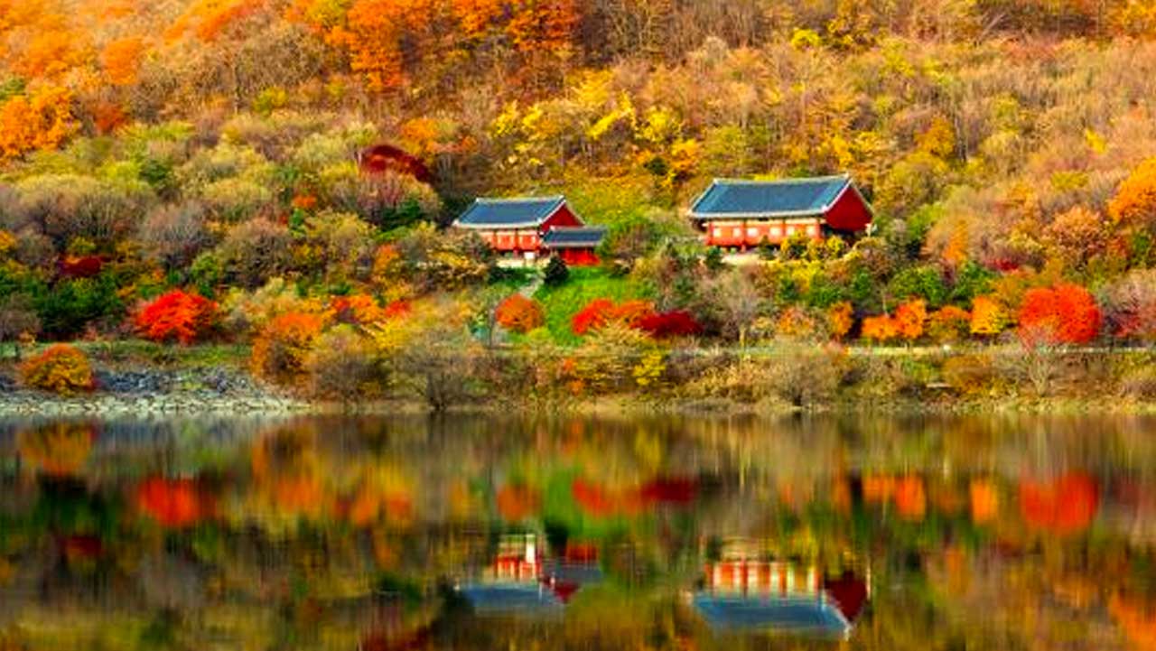 무주 적상산 단풍 숲 아래 안국사 모습. / 무주군 문화관광