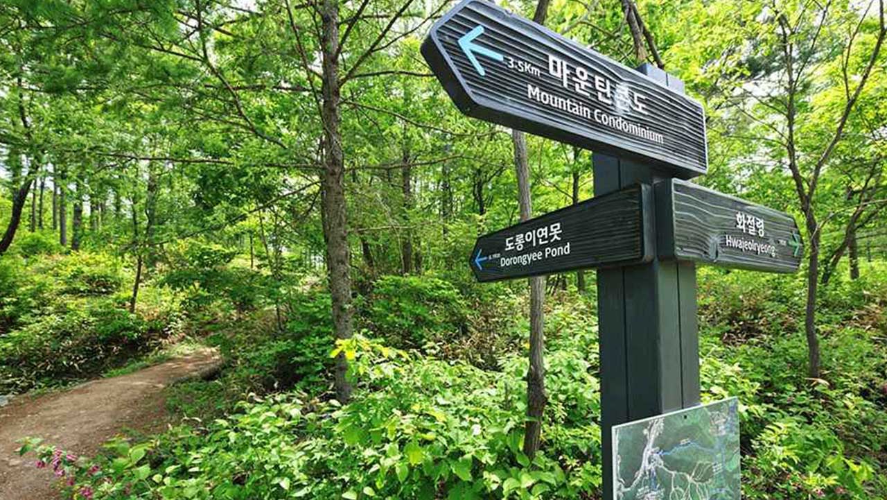 숲길 갈림길에 도롱이연못과 마운틴콘도, 화절령 방향을 알리는 이정표가 서 있다. / 정선군청