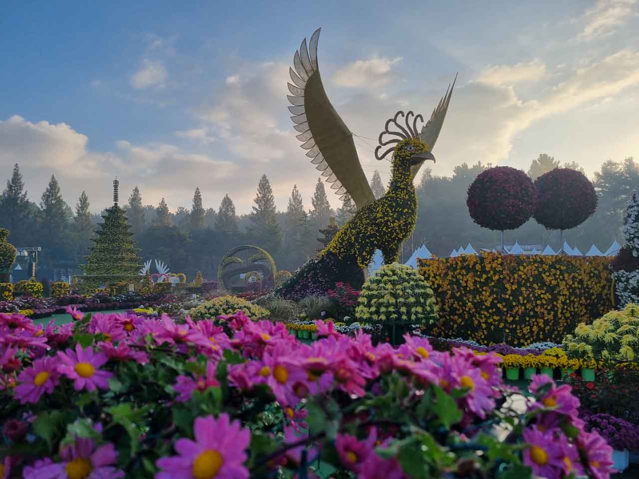익산 천만송이 국화축제. / 사진=익산시 제공