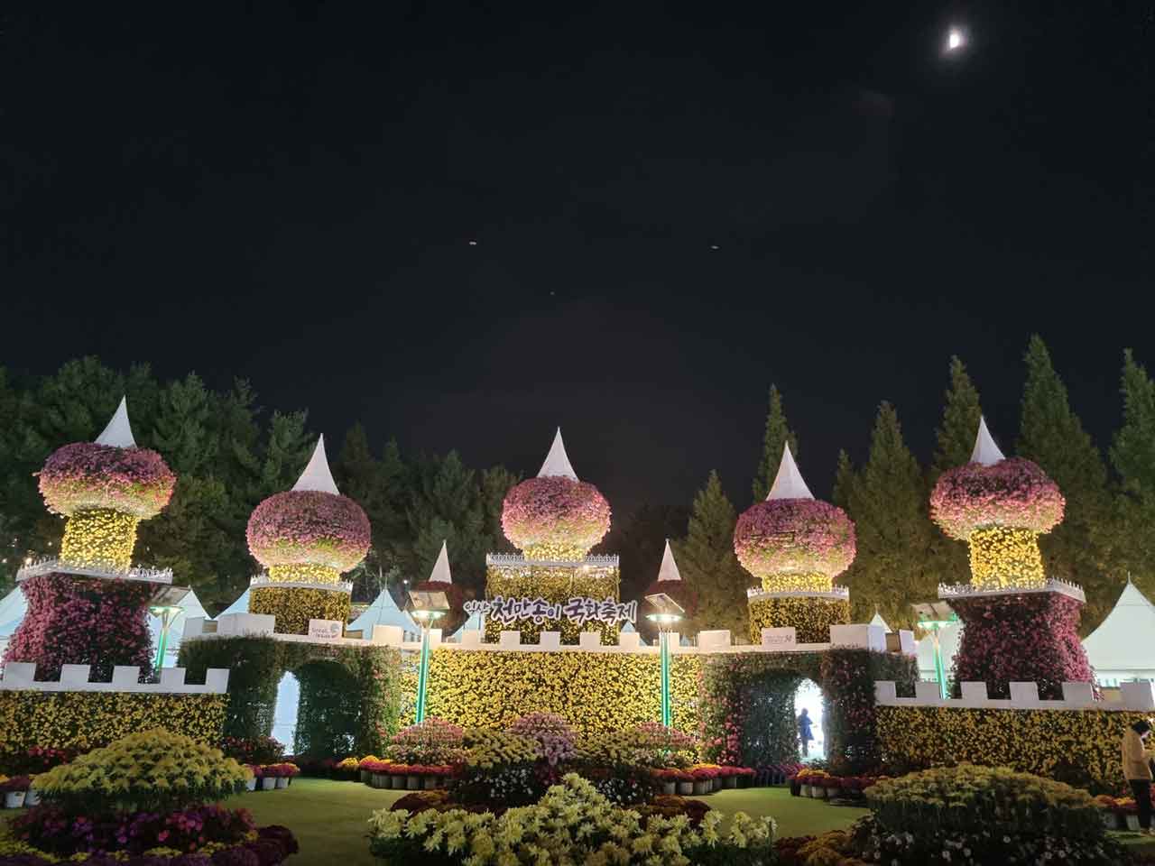 익산 천만송이 국화축제. / 사진=익산시 제공