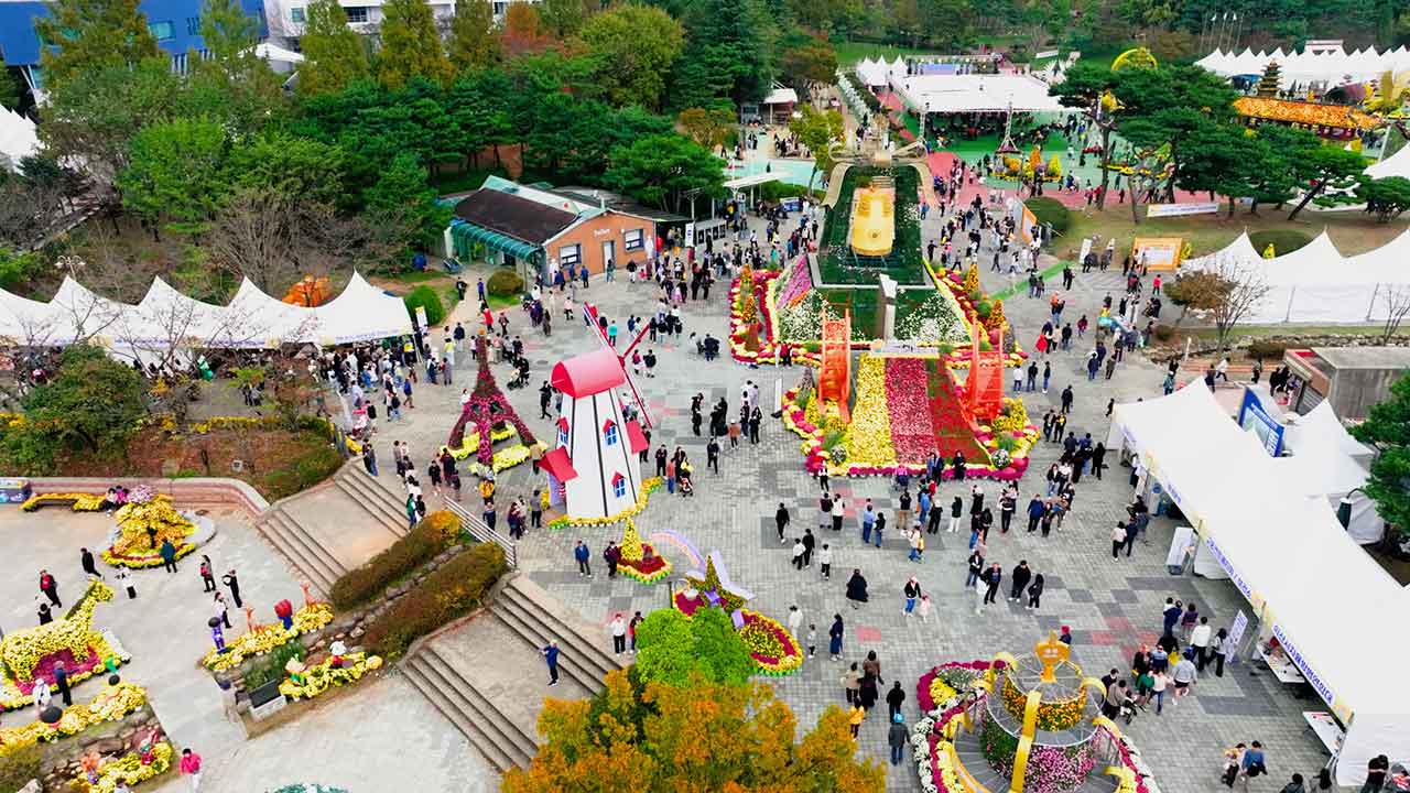 익산 천만송이 국화축제. / 사진=익산시 제공