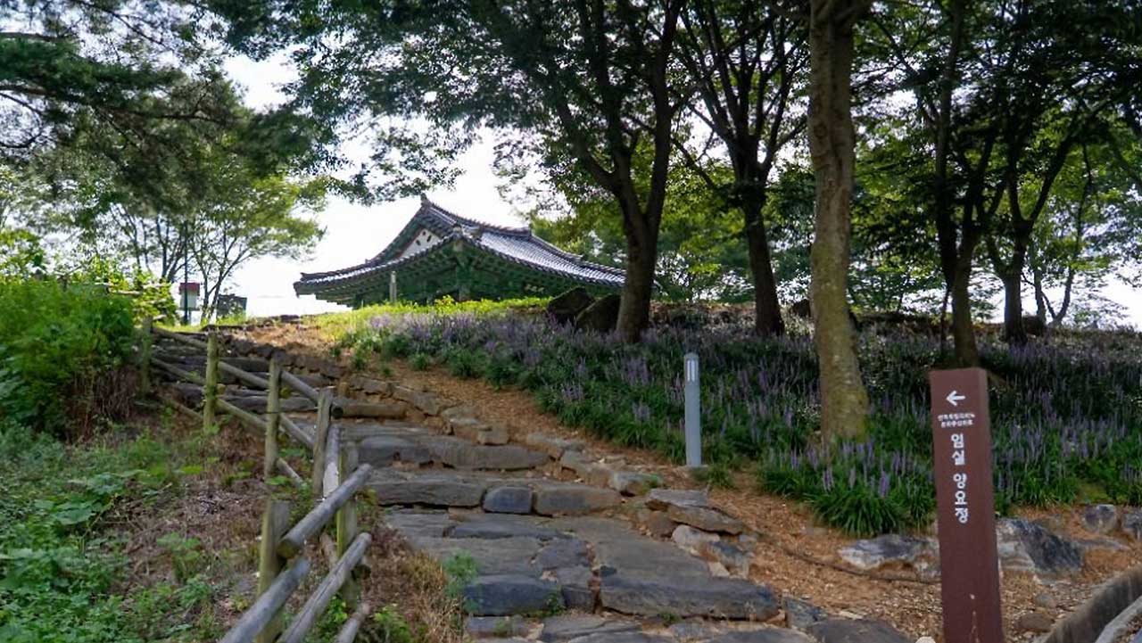 임실 요산공원 양요정으로 오르는 돌계단 옆으로 보랏빛 꽃이 피어 있다. / 열린관광