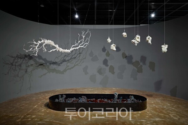 이은영, 메타-바이오스피어(2026)/사진-한국도자재단