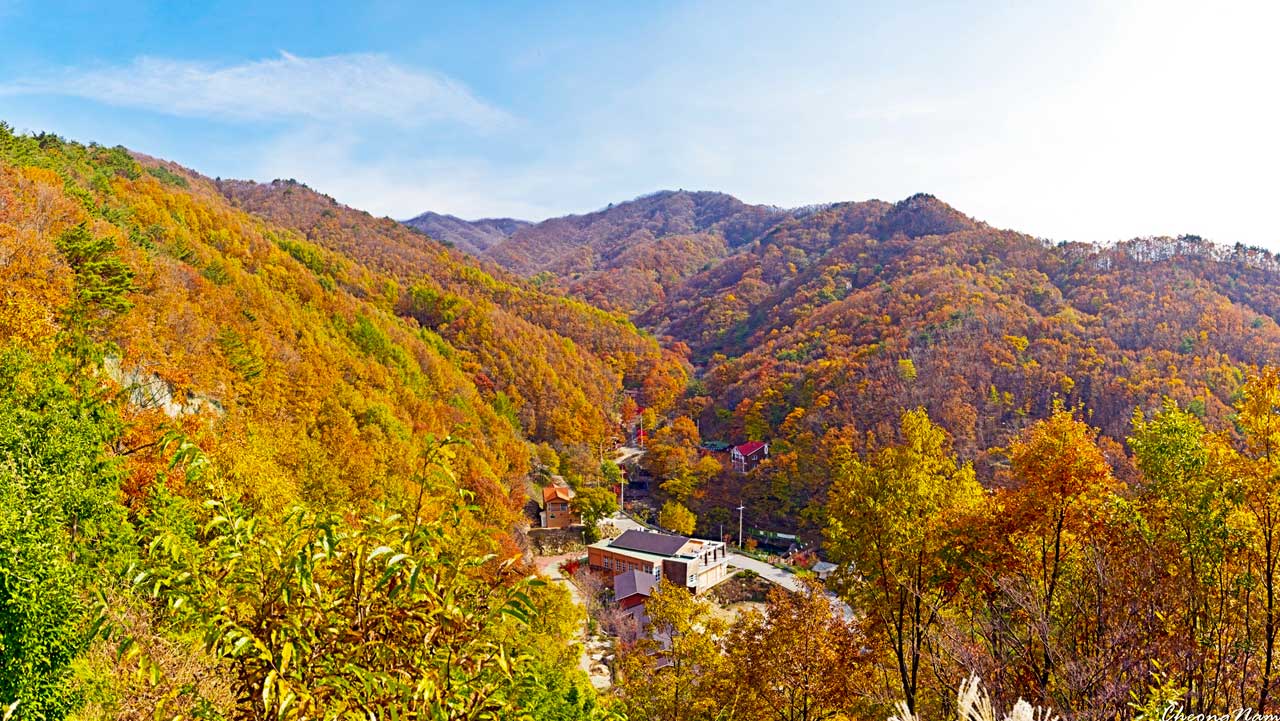 영동 민주지산자연휴양림이 단풍 든 산자락 아래 자리한 가을 풍경. / 숲나들e