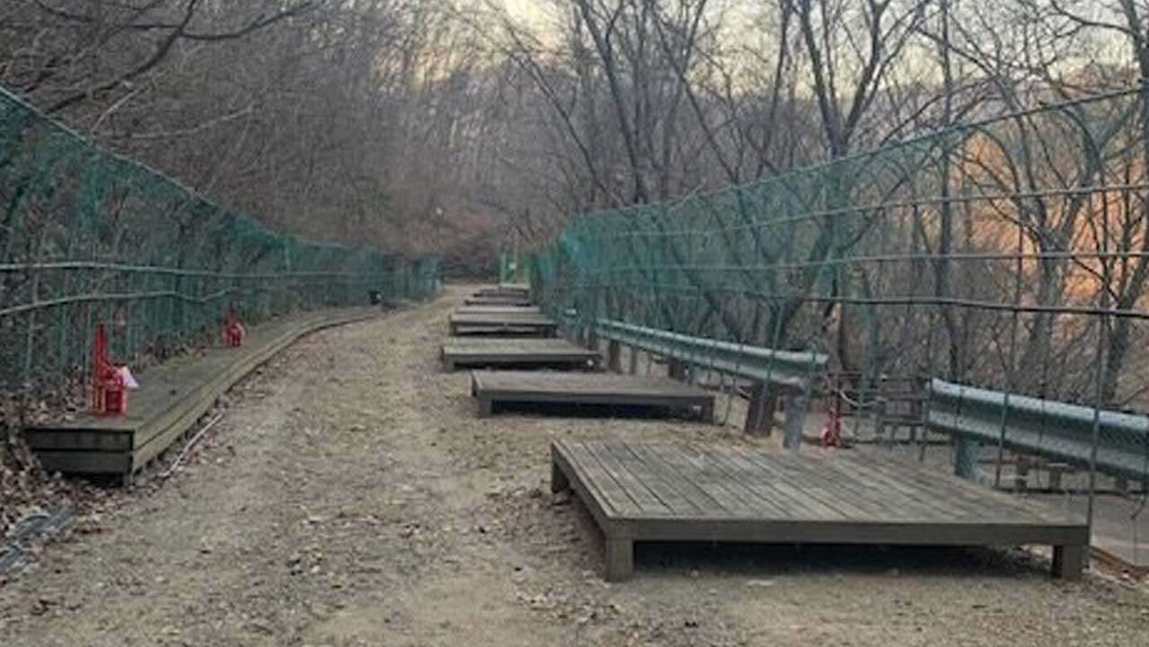 영동 민주지산자연휴양림 야영장에서 숲길을 따라 나란히 놓인 야영데크. / 숲나들e