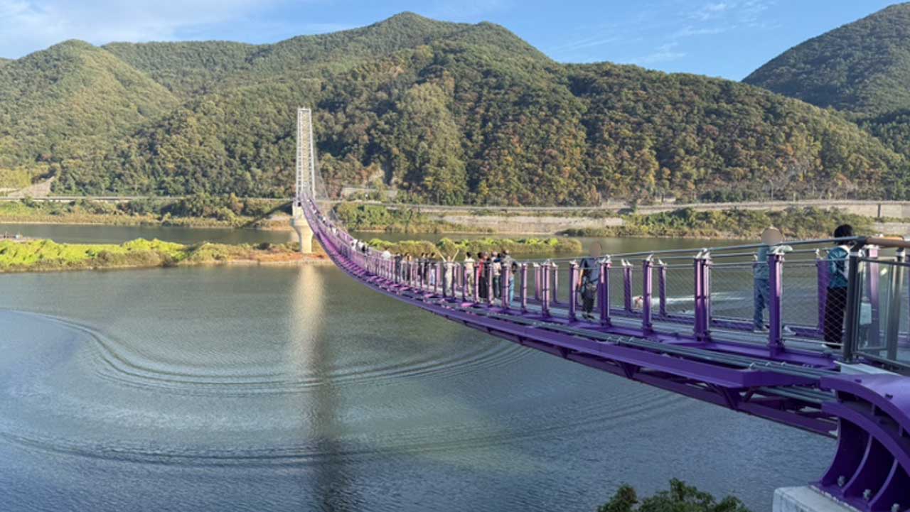 보랏빛 난간을 두른 보행교가 남한강 위로 길게 뻗은 충북 단양 시루섬 기적의 다리. / 단양군청 공식 SNS