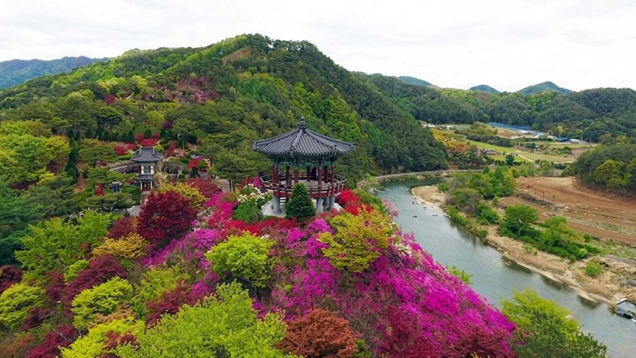 홍천 척야산 문화수목원 언덕 위 정자와 꽃, 아래로 흐르는 강. / 홍천군청, ai