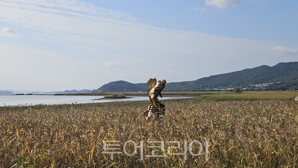 강진만 춤추는 갈대축제장 ⓒ투어코리아