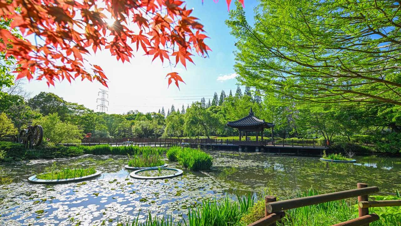 경남 진주 경상남도수목원 연못. / 경상남도수목원
