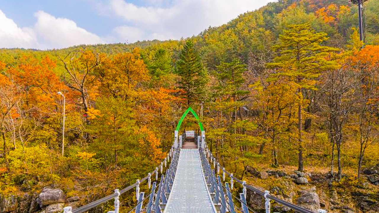 강릉 오대산국립공원 소금강 출렁다리. / 한국관광콘텐츠랩