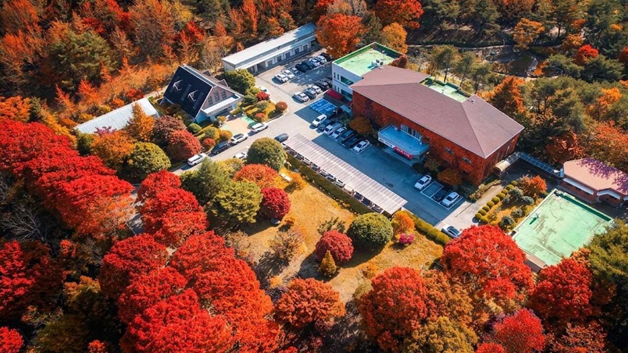 선홍빛 단풍이 건물과 주차장을 둘러싼 경남 진주 경상남도수목원. / 경상남도수목원, ai