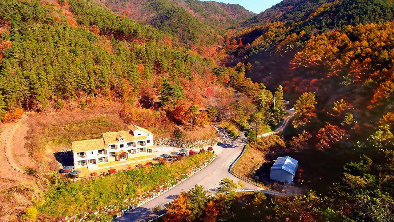 단풍이 물든 숲 사이로 휴양림 건물이 자리한 가을 풍경. / 숲나들e