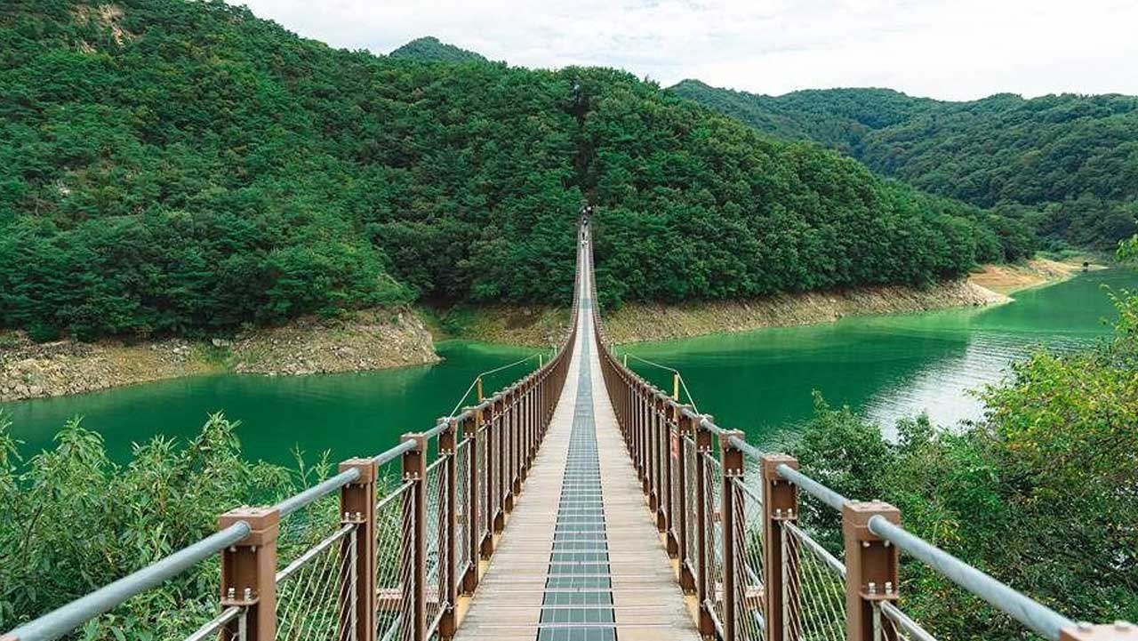 초록빛 청풍호와 산자락을 향해 곧게 뻗은 충북 제천 옥순봉 출렁다리. / 대한민국 구석구석