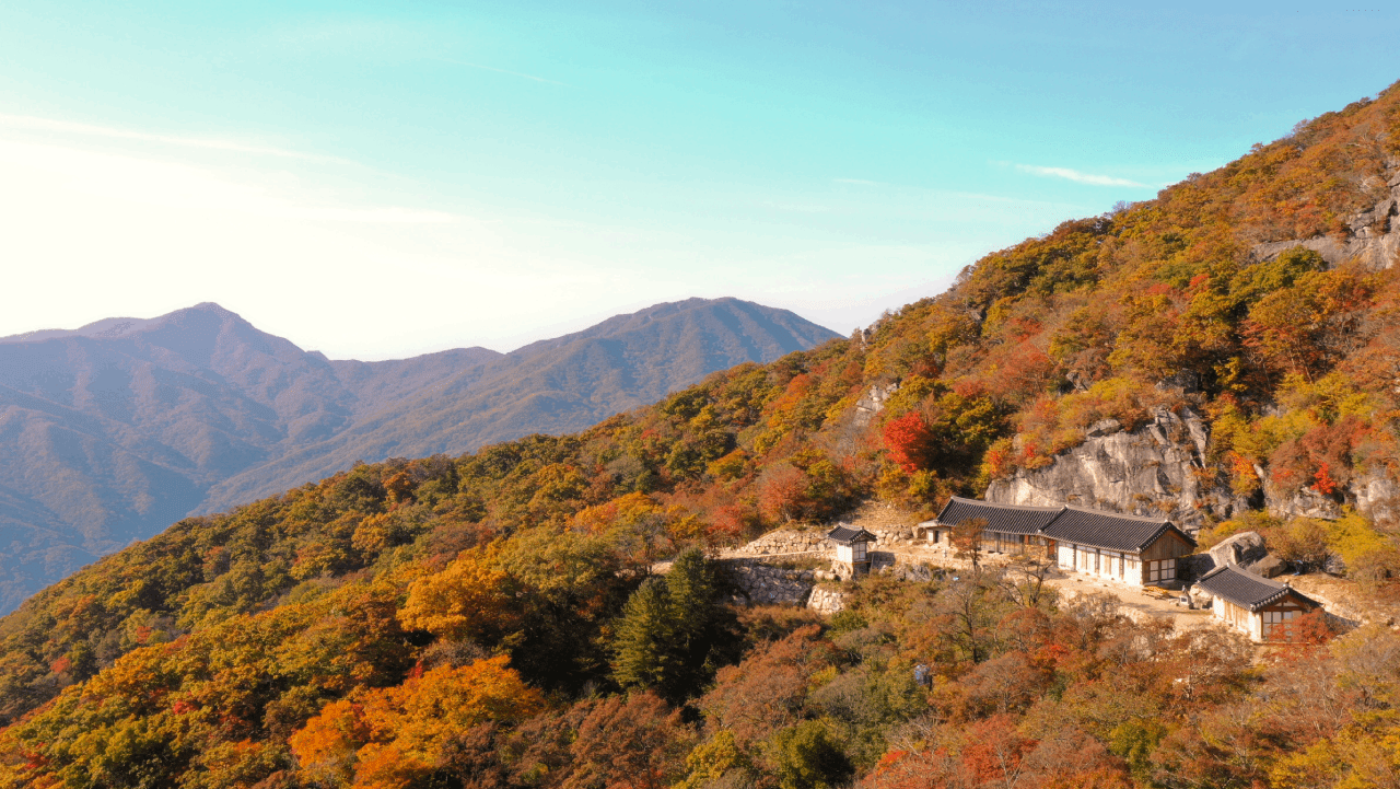 광양 백운산자연휴양림 산자락의 단풍. / 숲나들e